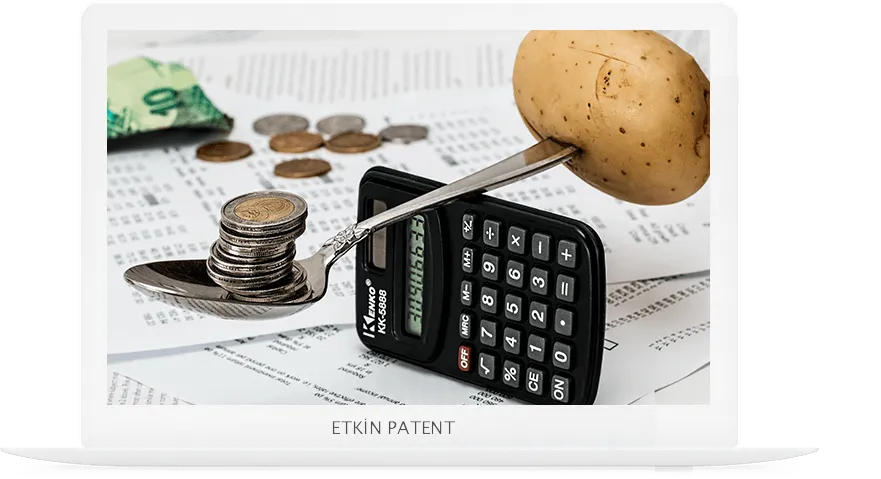 finansal davranışlara dair kombinasyon modeller-gaziemir patent
